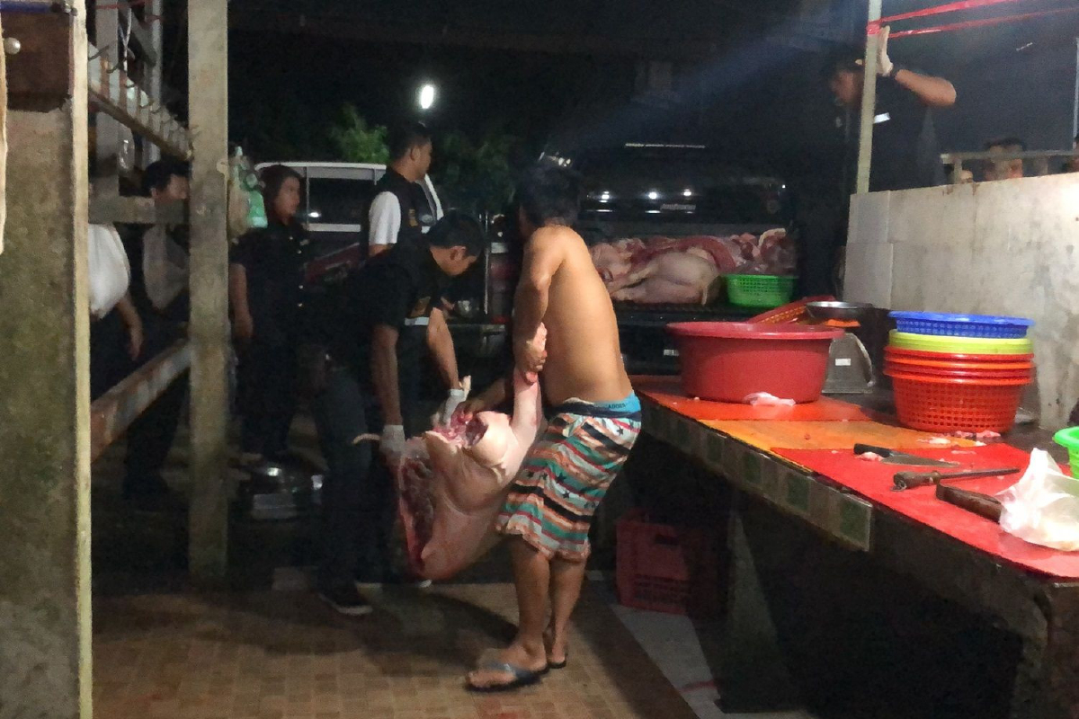 เจ้าหน้าที่ทลายโรงเชือดหมูส่งกลิ่นเหม็นมานานกว่า5ปี เจ้าหน้าที่ทลายโรงเชือดหมูส่งกลิ่นเหม็นมานานกว่า5ปี
