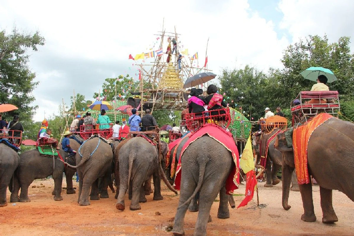ช้างฝาแฝดคู่แรกของโลกใช้งวงดึงเชือกยกฉัตร9ชั้นซุ้มประตูสำนักสงฆ์ดัง