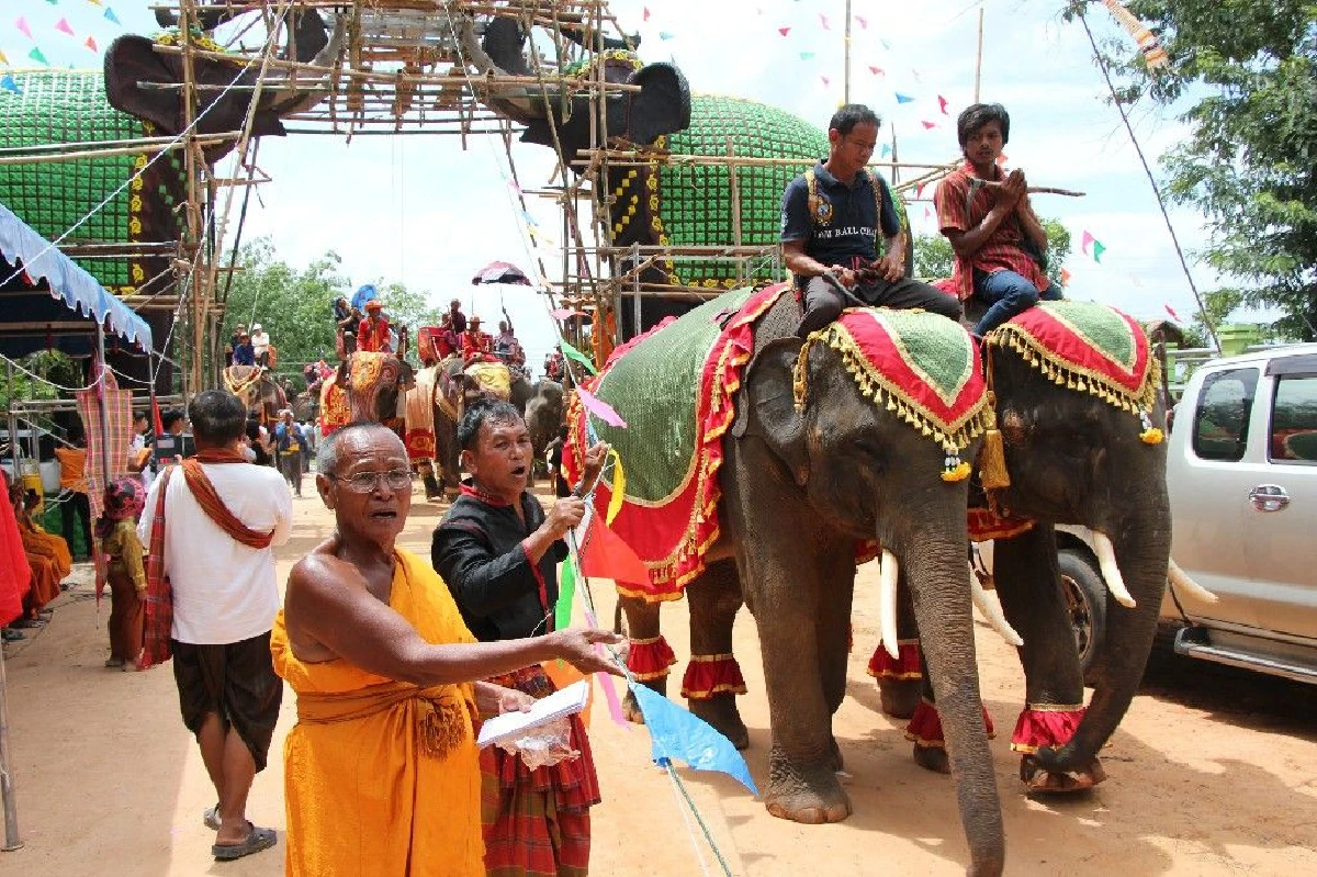 ช้างฝาแฝดคู่แรกของโลกใช้งวงดึงเชือกยกฉัตร9ชั้นซุ้มประตูสำนักสงฆ์ดัง