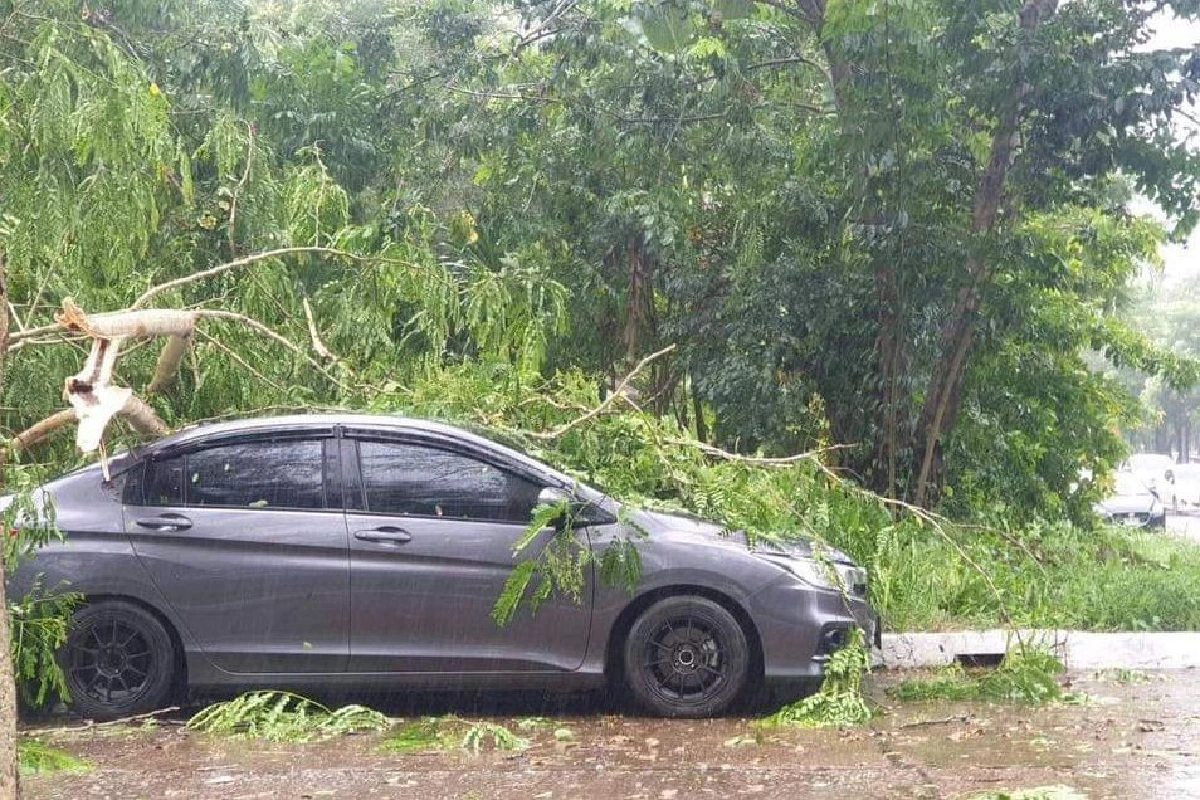 พายุฝนถล่มสระแก้วเสียหาย9อำเภอบ้านพังต้นไม้ล้มเสาไฟฟ้าหักโค่น