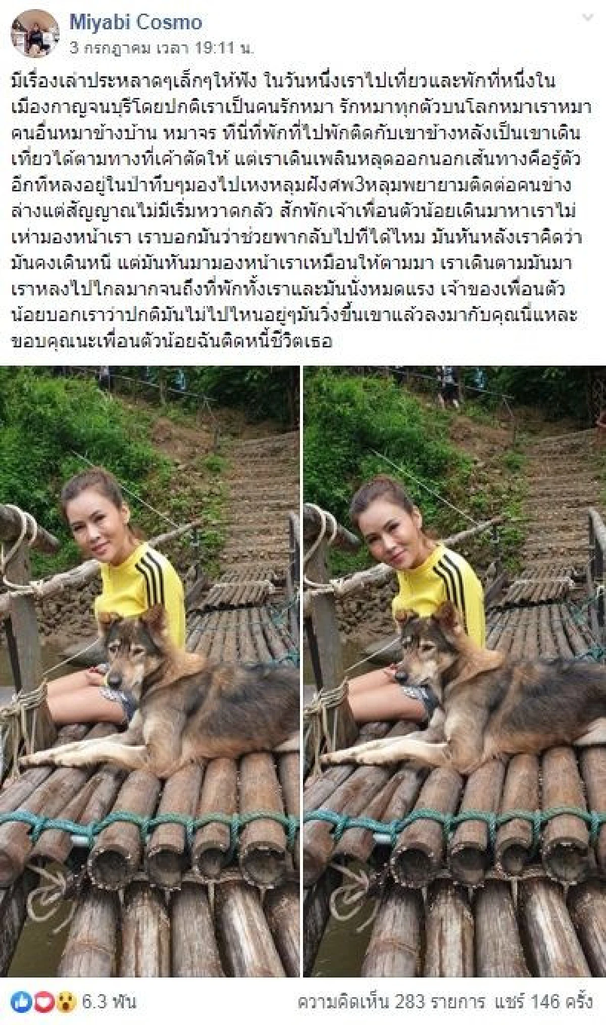 "ฉันติดหนี้ชีวิตเธอ" หมาน้อยวิ่งโร่ขึ้นภูเขาช่วยนำทางสาวหลงป่ากลับบ้าน