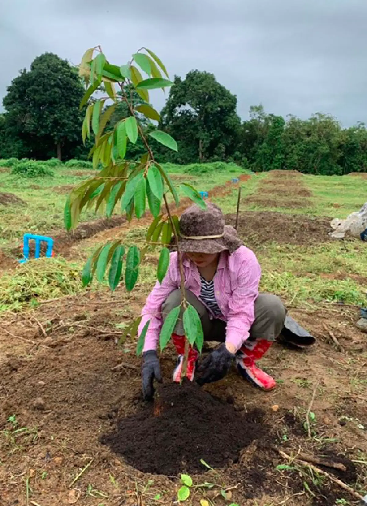 เรียบง่ายสุดๆ “แม่แอน” สร้างอาณาจักรบ้านสวน ปลูกต้นทุเรียนเท่าอายุ "น้องโพธิ์”