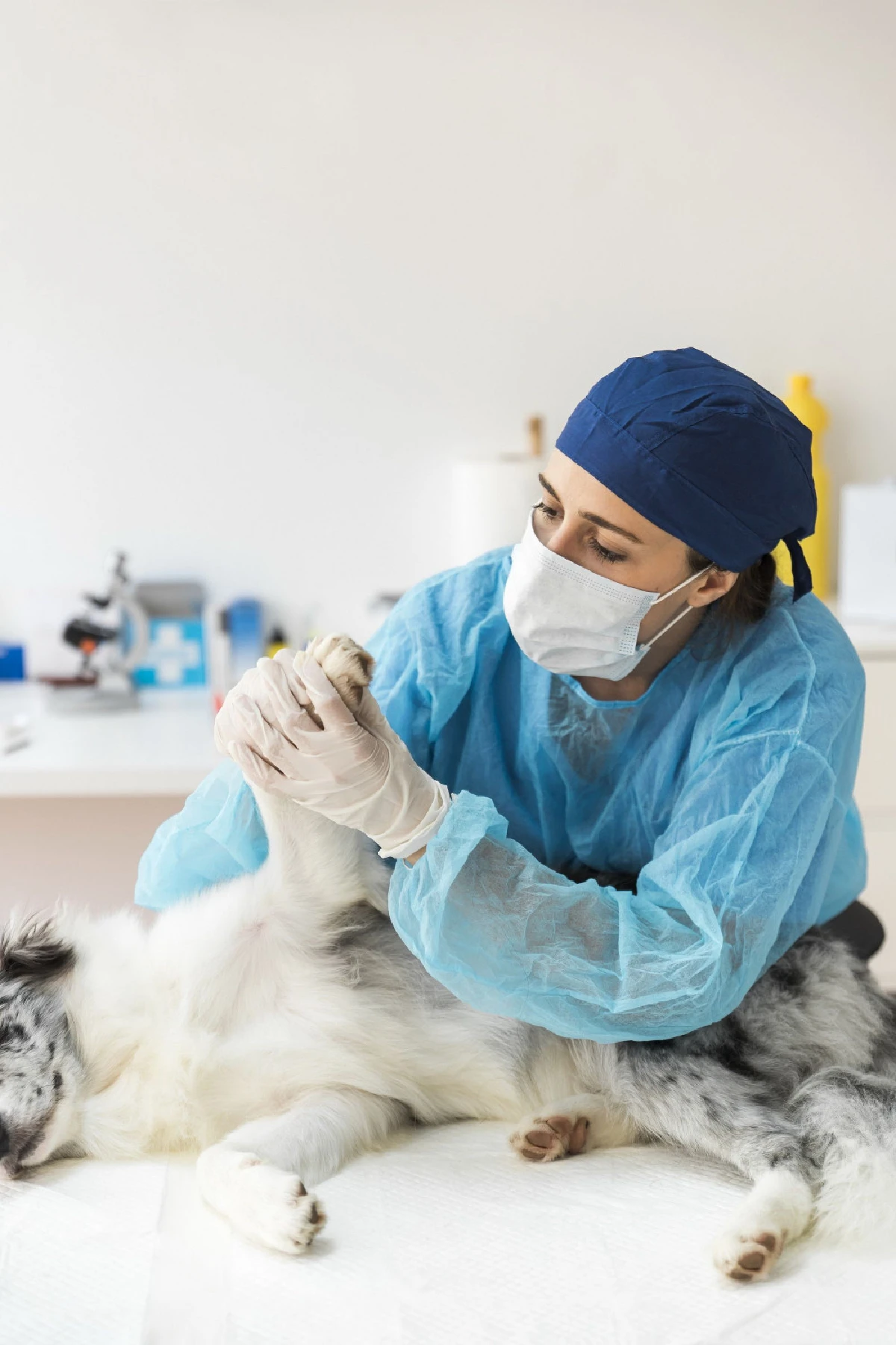 เคล็ด(ไม่)ลับฉบับหน้าฝนเพื่อคนรักสัตว์