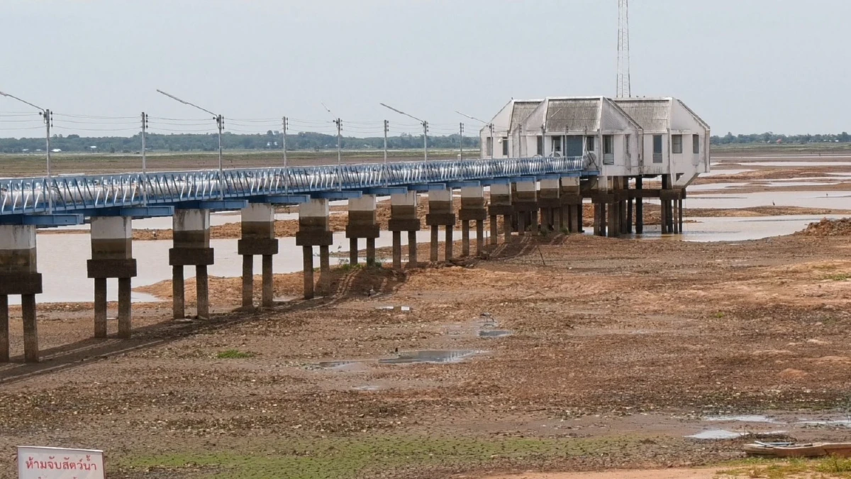 อ่างเก็บน้ำห้วยเสนงแห้งขอดในรอบ 41 ปีพบนกกระสาฝูงใหญ่จับปลากินเพลิน