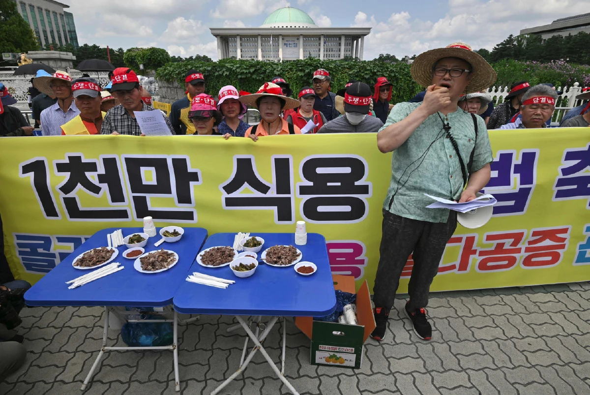 กินหมาท้าทาย เกาหลีใต้เย้ยกลุ่มประท้วงกินเนื้อสัตว์แสนรัก (ภาพชุด)