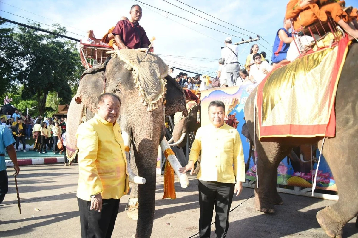 หนึ่งเดียวในโลกช้างกว่า43เชือกร่วมแห่เทียนพรรษาที่สุรินทร์