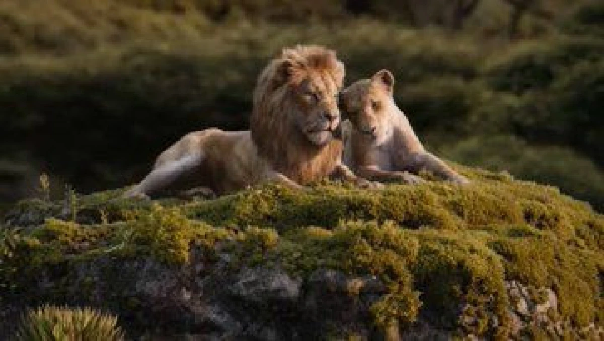 รีวิว The Lion King : ตื่นตาสมจริงทุกรายละเอียด เคารพต้นฉบับมากจนขาดเสน่ห์