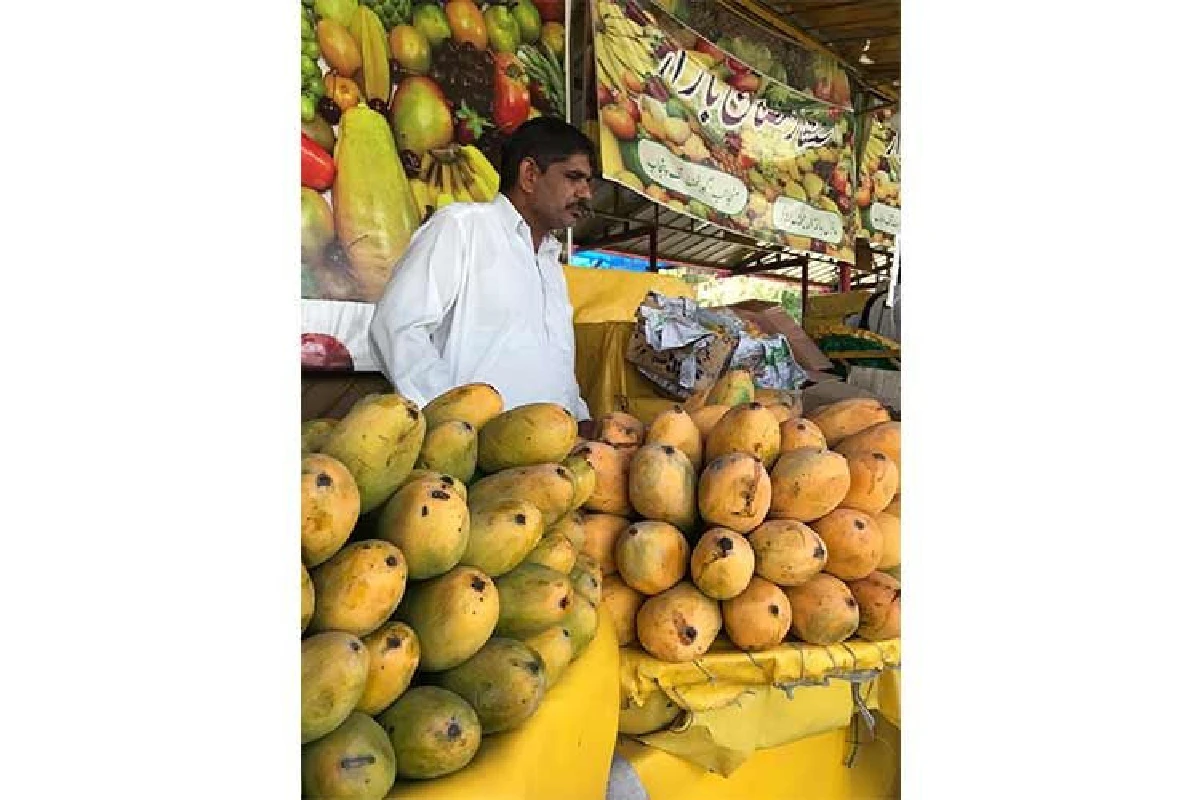 เจาะตลาดใหม่กับบีโอไอ  “ปากีสถาน  ดินแดนแห่งภูเขาสวยดั่งสวิสเซอร์แลนด์แห่งเอเชีย”