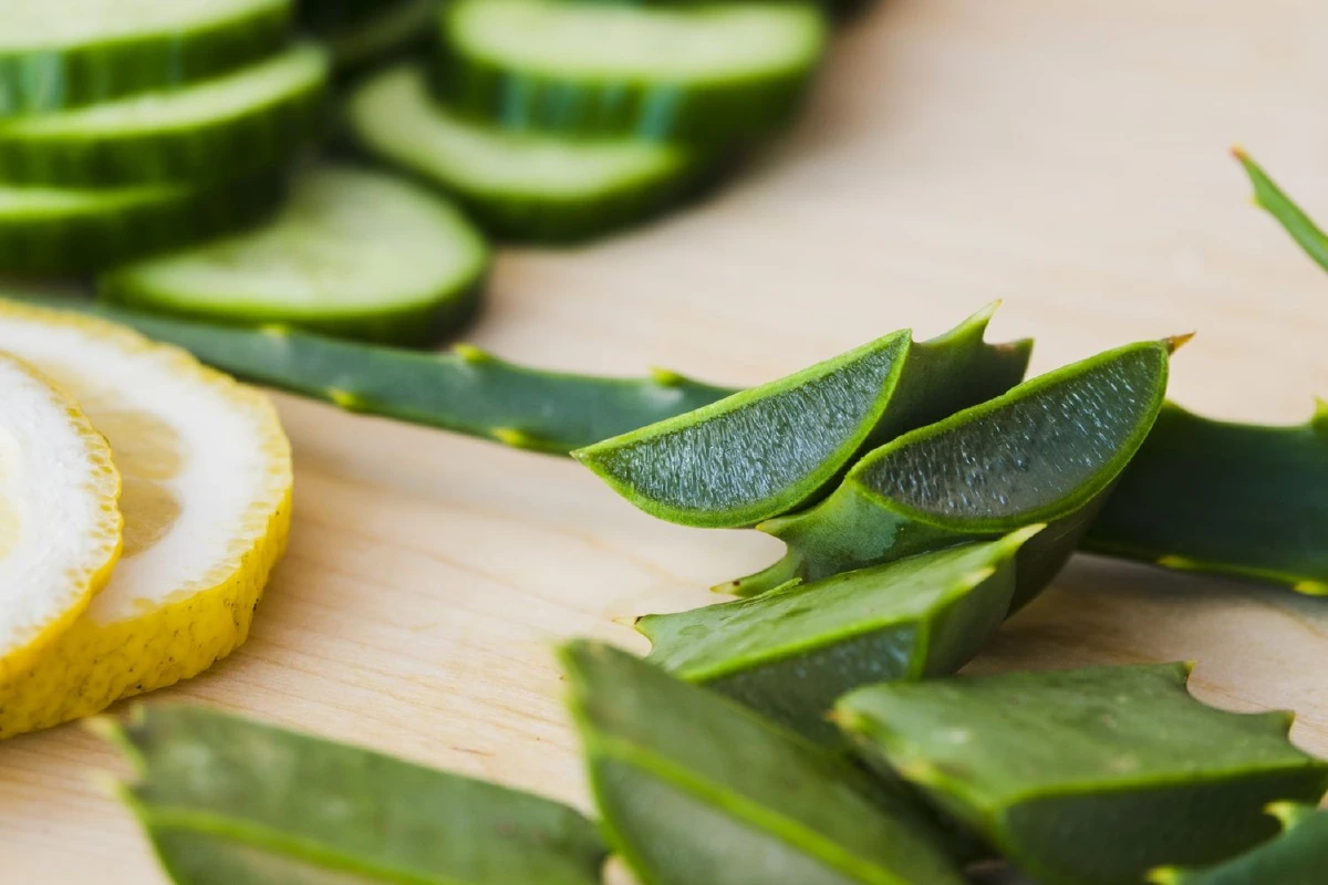 4 ระยะของริดสีดวง กับ 3 สมุนไพรที่ใช้ได้ผล