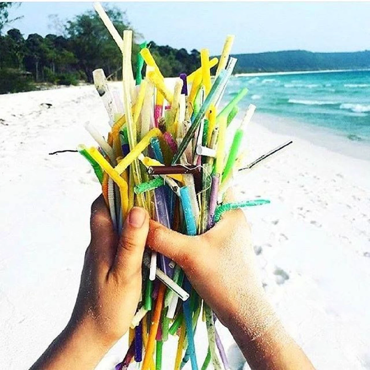 ตัวเลือกใหม่ ขวดน้ำปลอดพลาสติก 100% ไม่ทำร้ายสัตว์ไม่ทำร้ายโลก