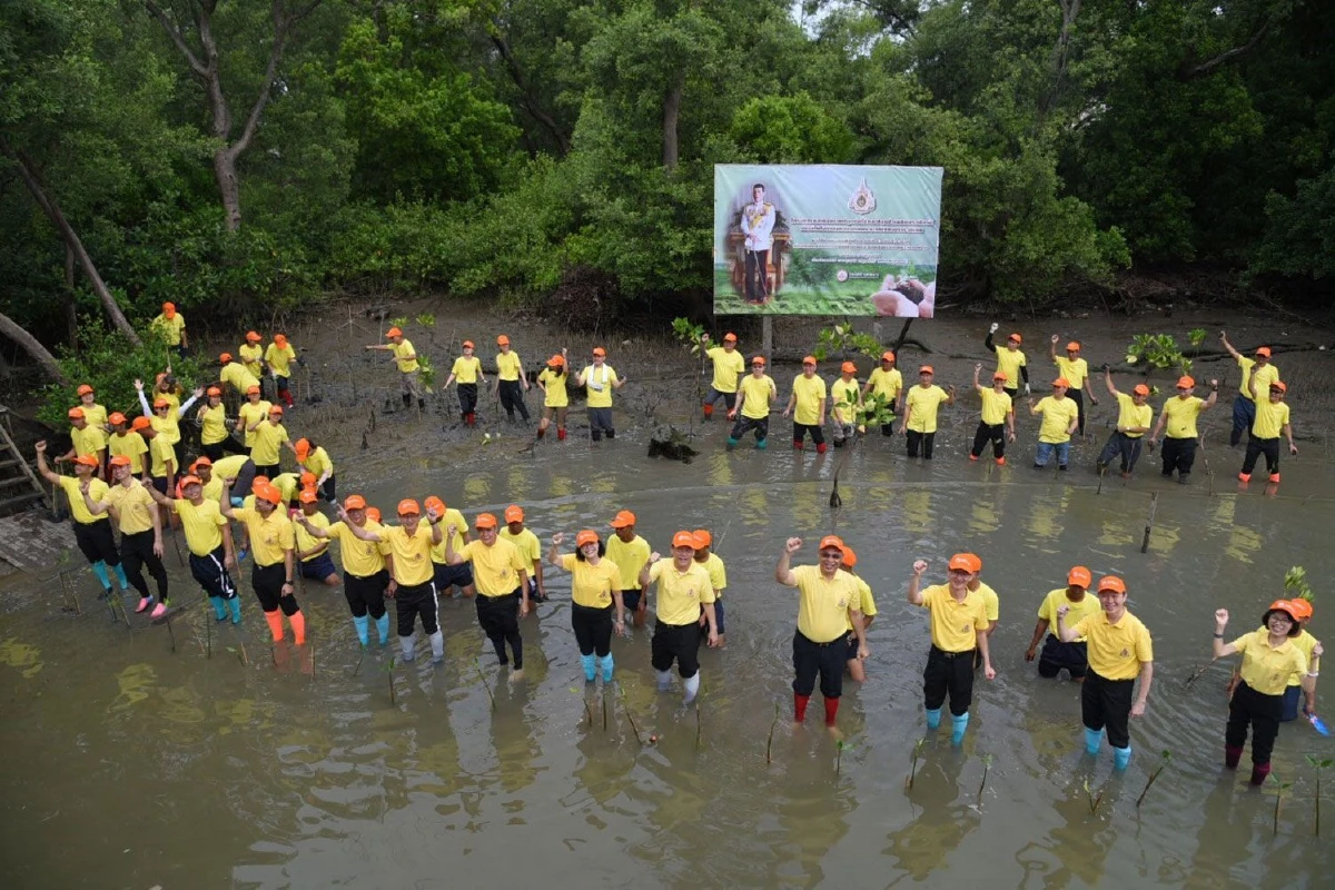 กฟน. รวมพลังปลูกป่าชายเลนเฉลิมพระเกียรติฯ สร้างแนวป้องกันคลื่น ฟื้นฟูสภาพแวดล้อมอย่างยั่งยืน