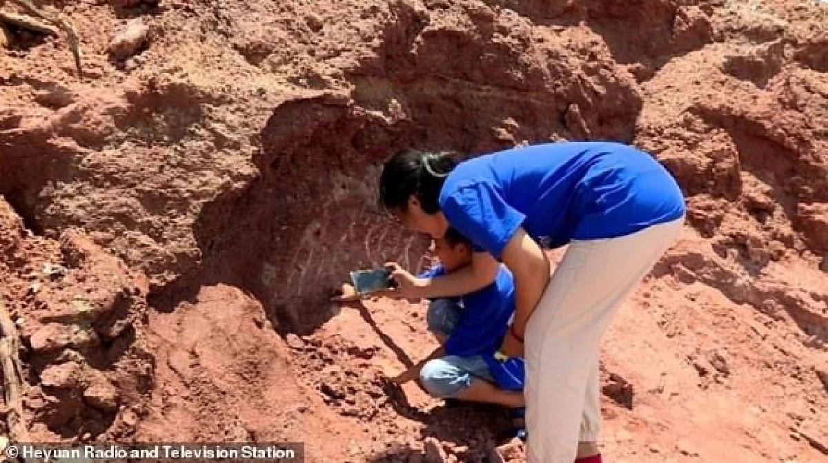 หนูน้อยจีนพบฟอสซิลไข่ไดโนเสาร์โดยบังเอิญขณะวิ่งเล่น