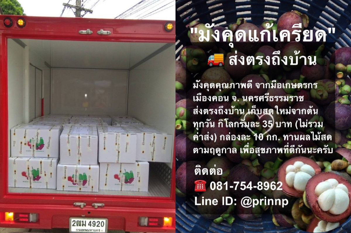 "ทีมเศรษฐกิจปชป."นำอีคอมเมิร์ซช่วยชาวสวนระบายมังคุด-แก้ปัญหาถูกกดราคา "ทีมเศรษฐกิจปชป."นำอีคอมเมิร์ซช่วยชาวสวนระบายมังคุด-แก้ปัญหาถูกกดราคา