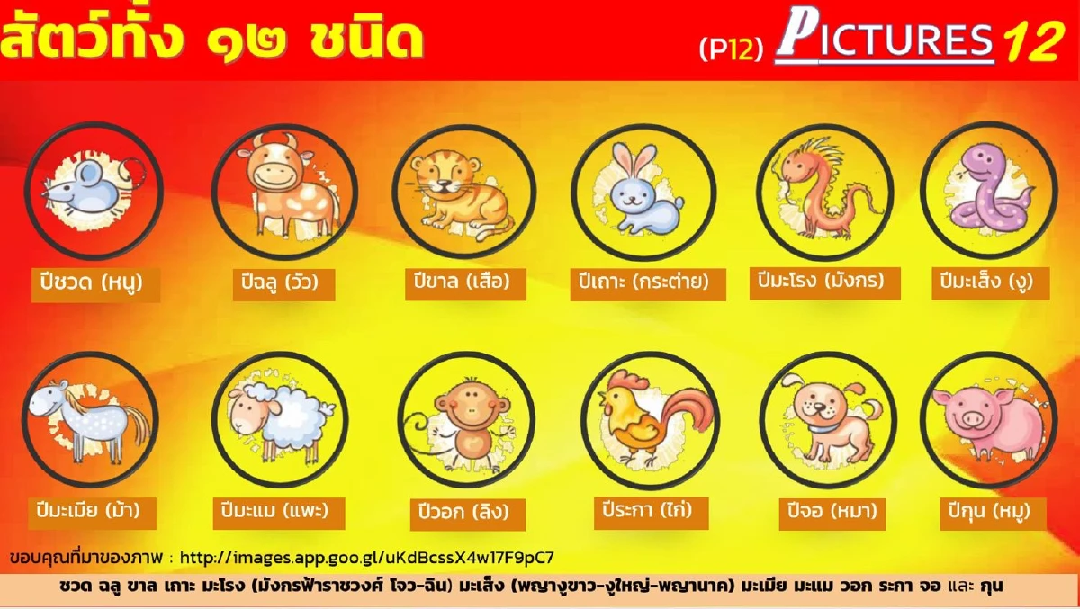 เคาะแล้ว! บอร์ดสลากเห็นชอบให้ออก "สลากภาพ 12 นักษัตร"ขายออนไลน์