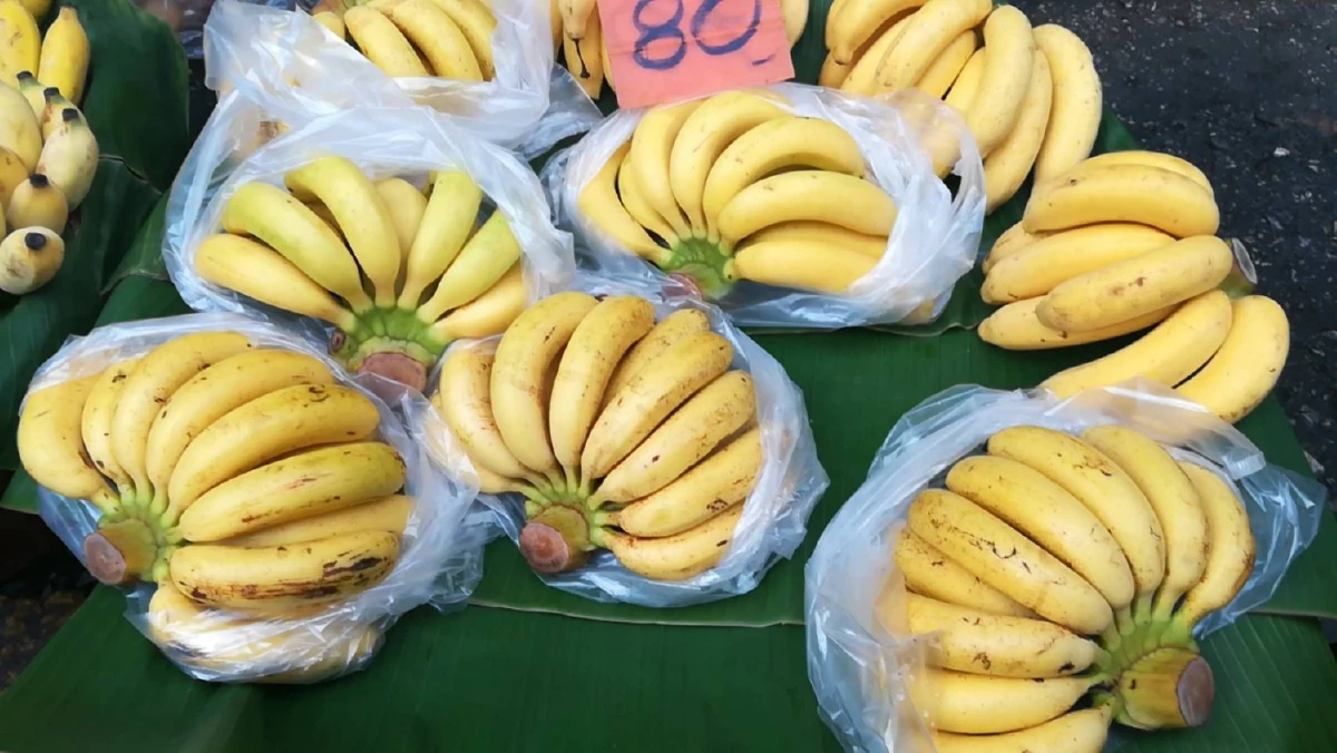 แม่ค้ากล้วยทอดจ๊าก! กล้วยน้ำว้าพุ่งสูงในรอบปีหวีละ 40 บาท