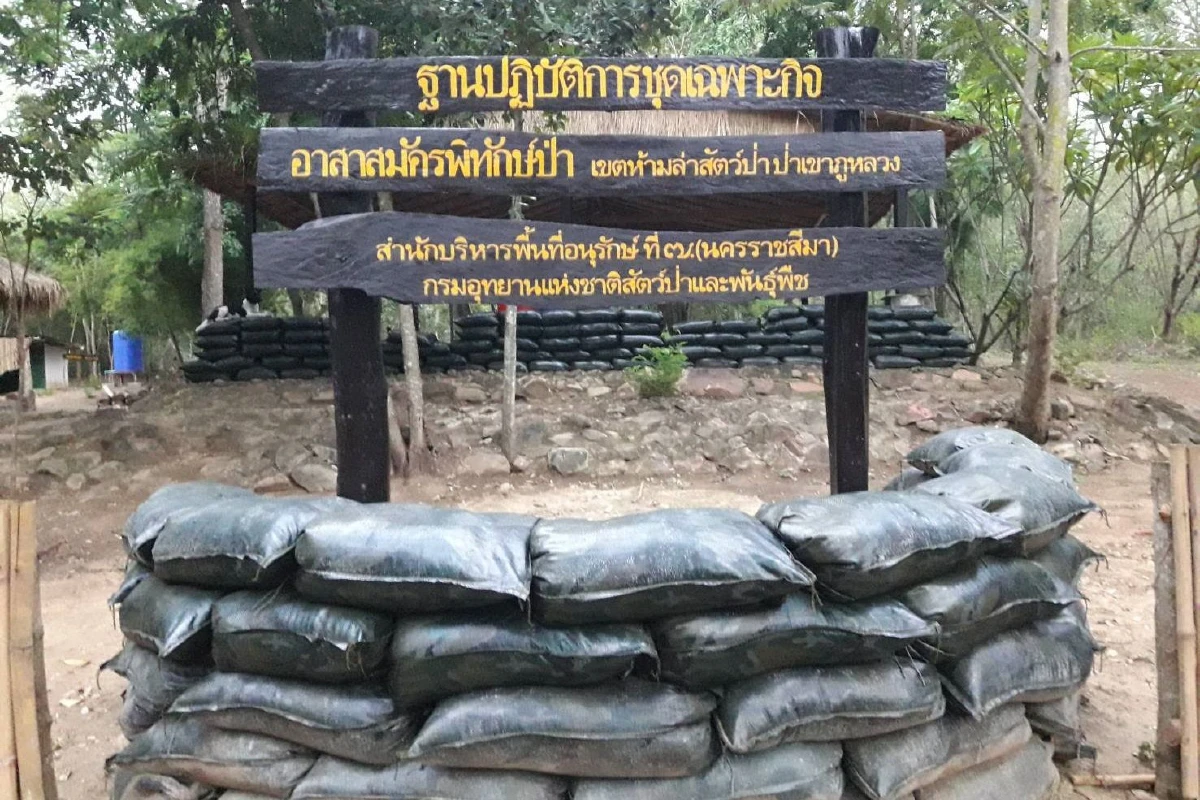 อดีตหัวหน้าชุดฉก.พิทักษ์ป่าแฉถูกย้ายเพราะขวางแก๊งตัดไม้พะยูง