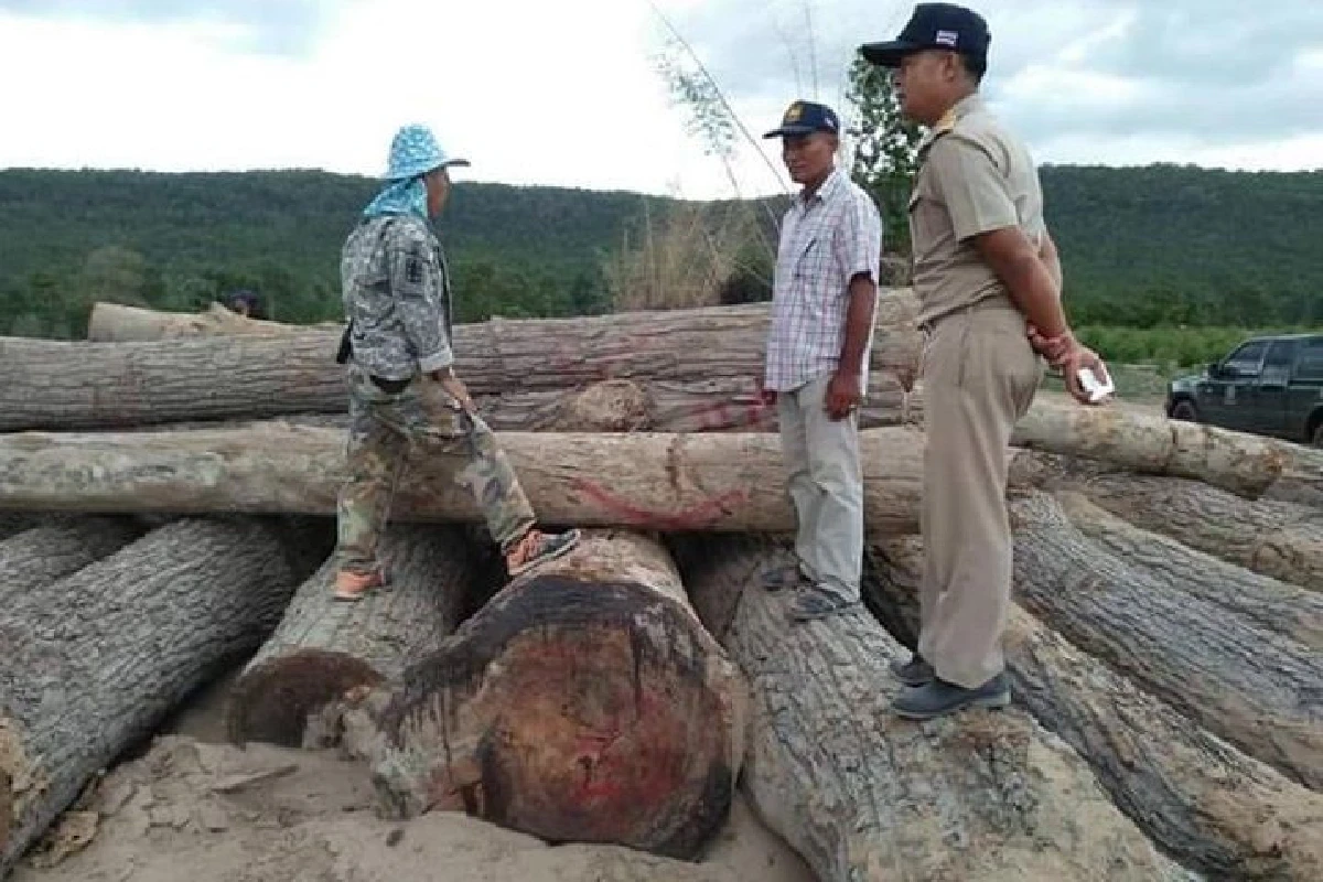 อดีตหน.ชุดอส.พิทักษ์ป่าเขาภูหลวงจี้สอบคดีตัดไม้หวงห้ามในพื้นที่สปก.