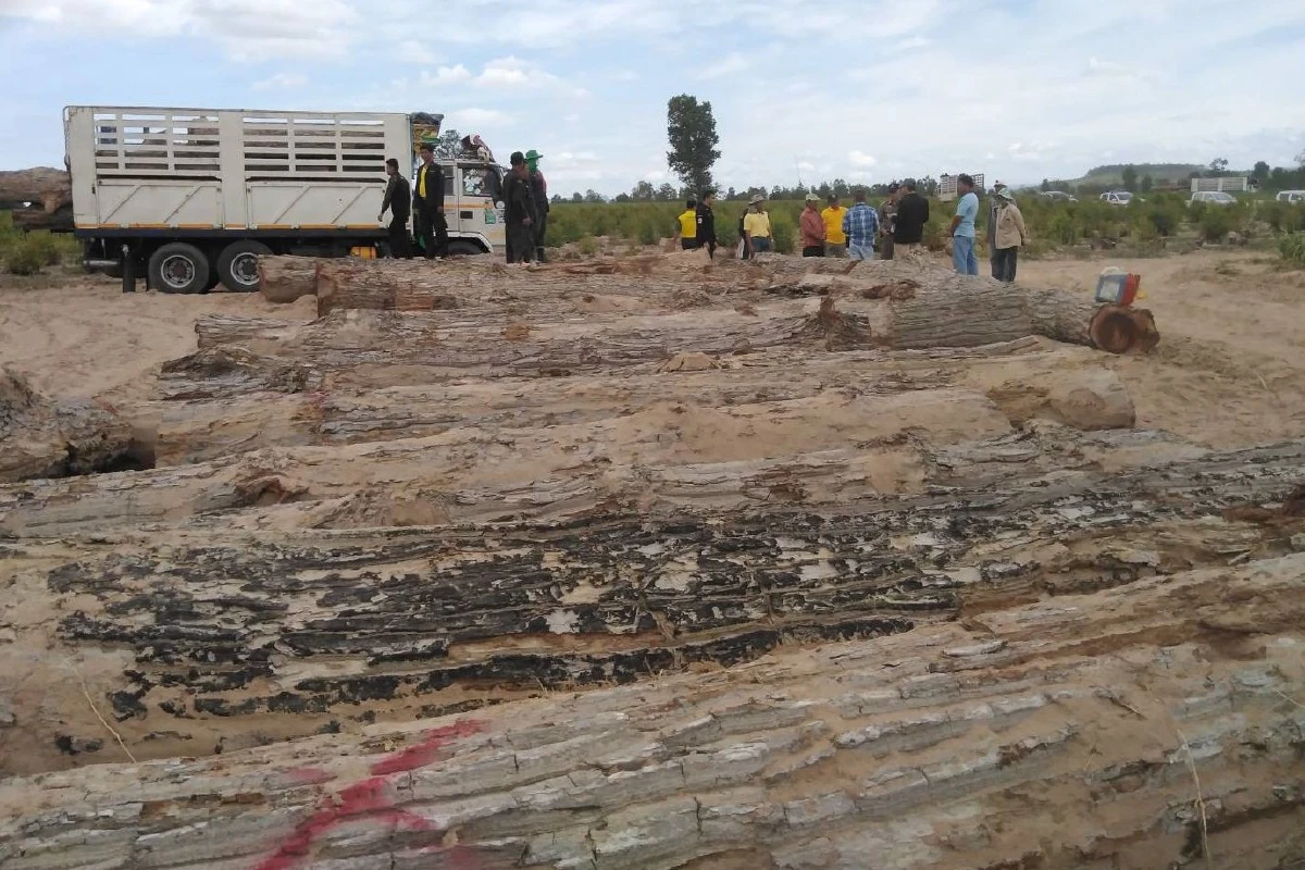 อดีตหน.ชุดอส.พิทักษ์ป่าเขาภูหลวงจี้สอบคดีตัดไม้หวงห้ามในพื้นที่สปก.