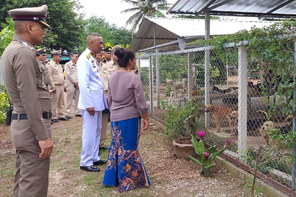 ผู้แทนพระองค์นำอาหารพระราชทานมอบให้กับบ้านแก้วตาที่ดูแลหมาจรจัด ผู้แทนพระองค์นำอาหารพระราชทานมอบให้กับบ้านแก้วตาที่ดูแลหมาจรจัด