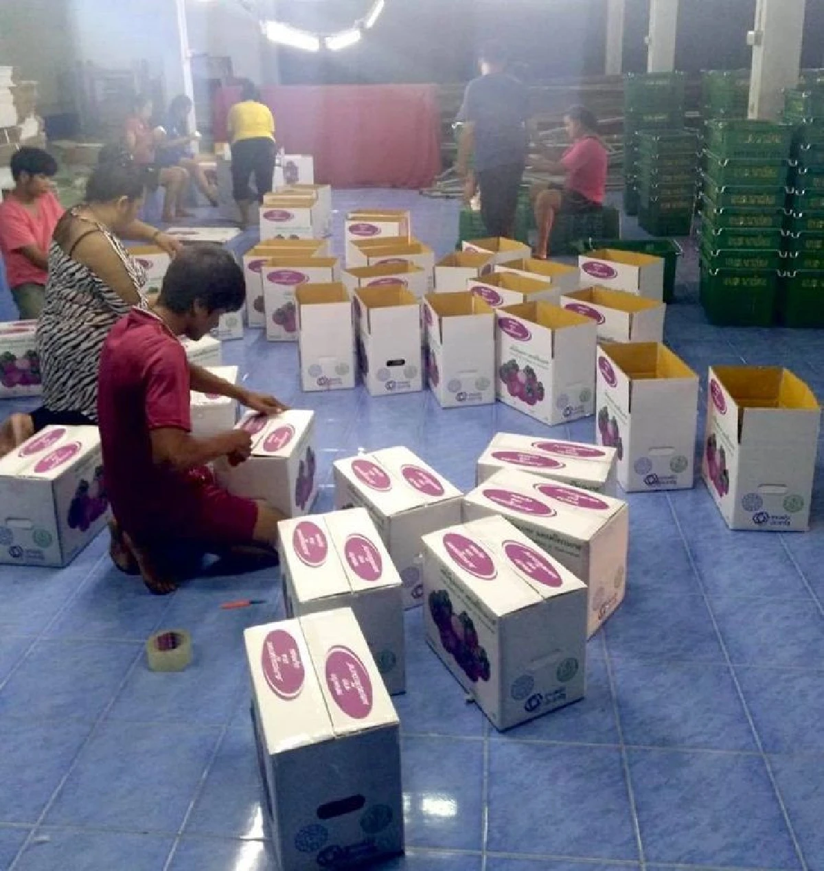 ไม่รอราชการ! "กรณ์"โพสต์ช่วยสส.นครศรีฯ ระบายมังคุดพรีเมียม