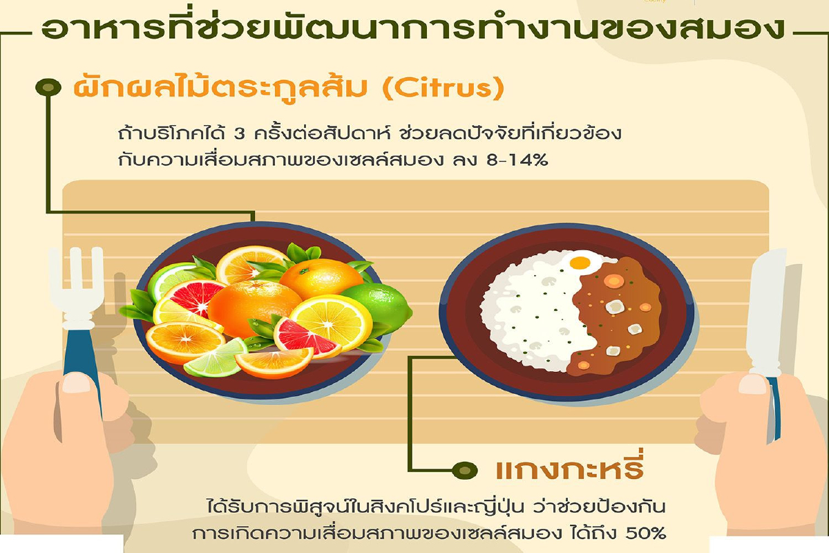 ชะลอสมองเสื่อม ออกกำลังกาย กินแกงกะหรี่ และผลไม้ตระกูลส้มช่วยได้! ชะลอสมองเสื่อม ออกกำลังกาย กินแกงกะหรี่ และผลไม้ตระกูลส้มช่วยได้!