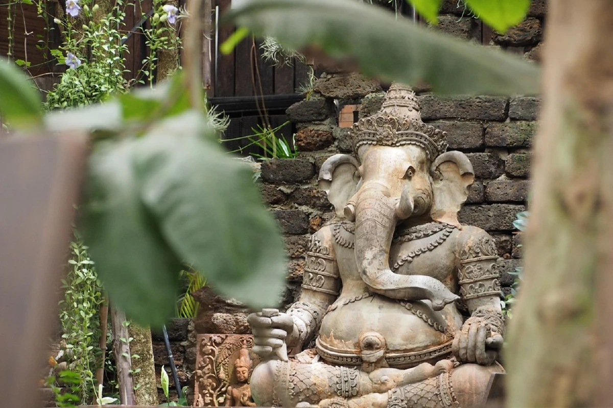 The Faces Gallery & Gastro Bar