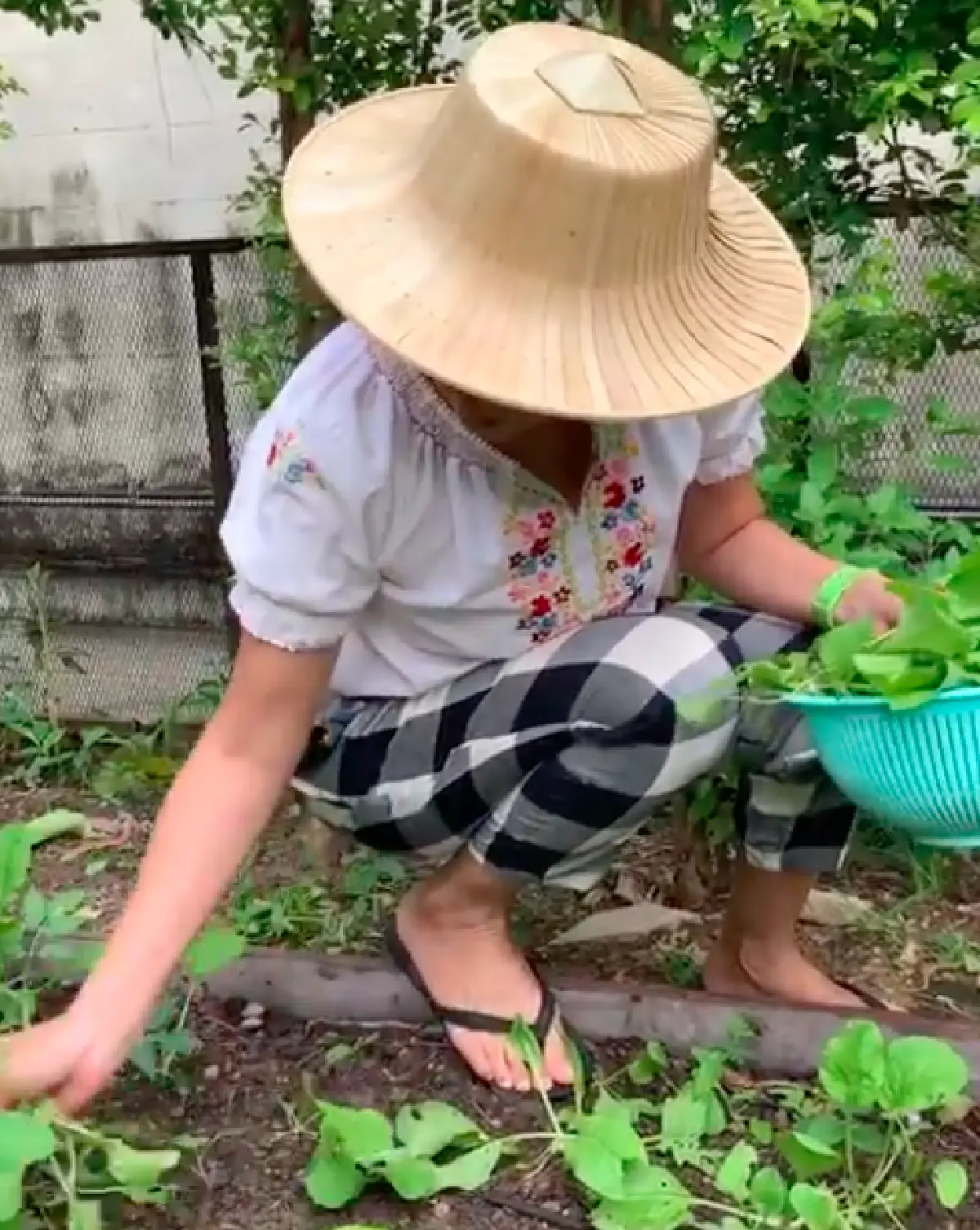 "กบ ปภัสรา” กับความสุขแบบง่ายๆ ในการใช้ชีวิตแบบบ้านๆ ปลูกผักทำกินเอง