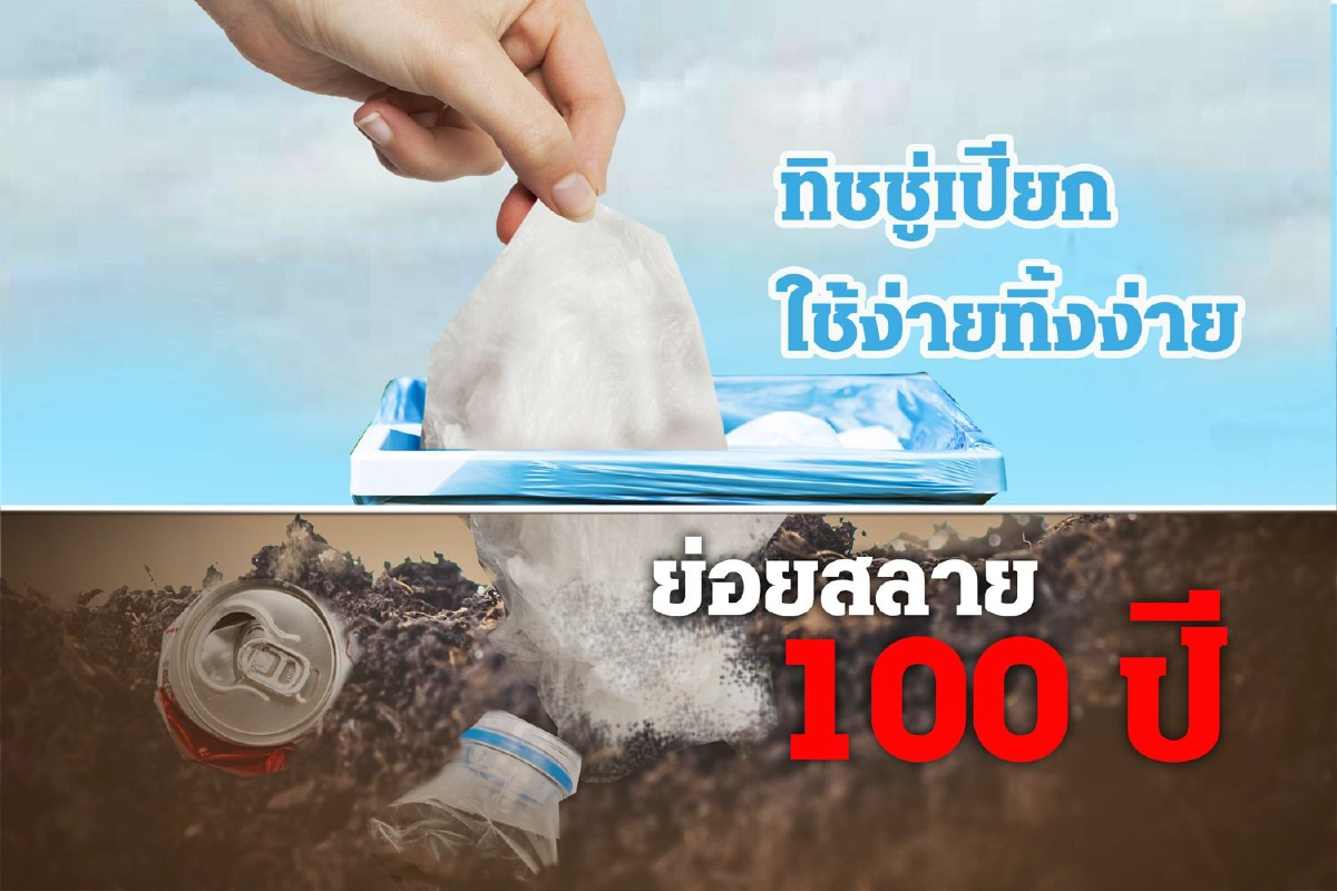 ทิชชู่เปียก ใช้ง่ายทิ้งง่าย ย่อยสลาย 100 ปี ทิชชู่เปียก ใช้ง่ายทิ้งง่าย ย่อยสลาย 100 ปี