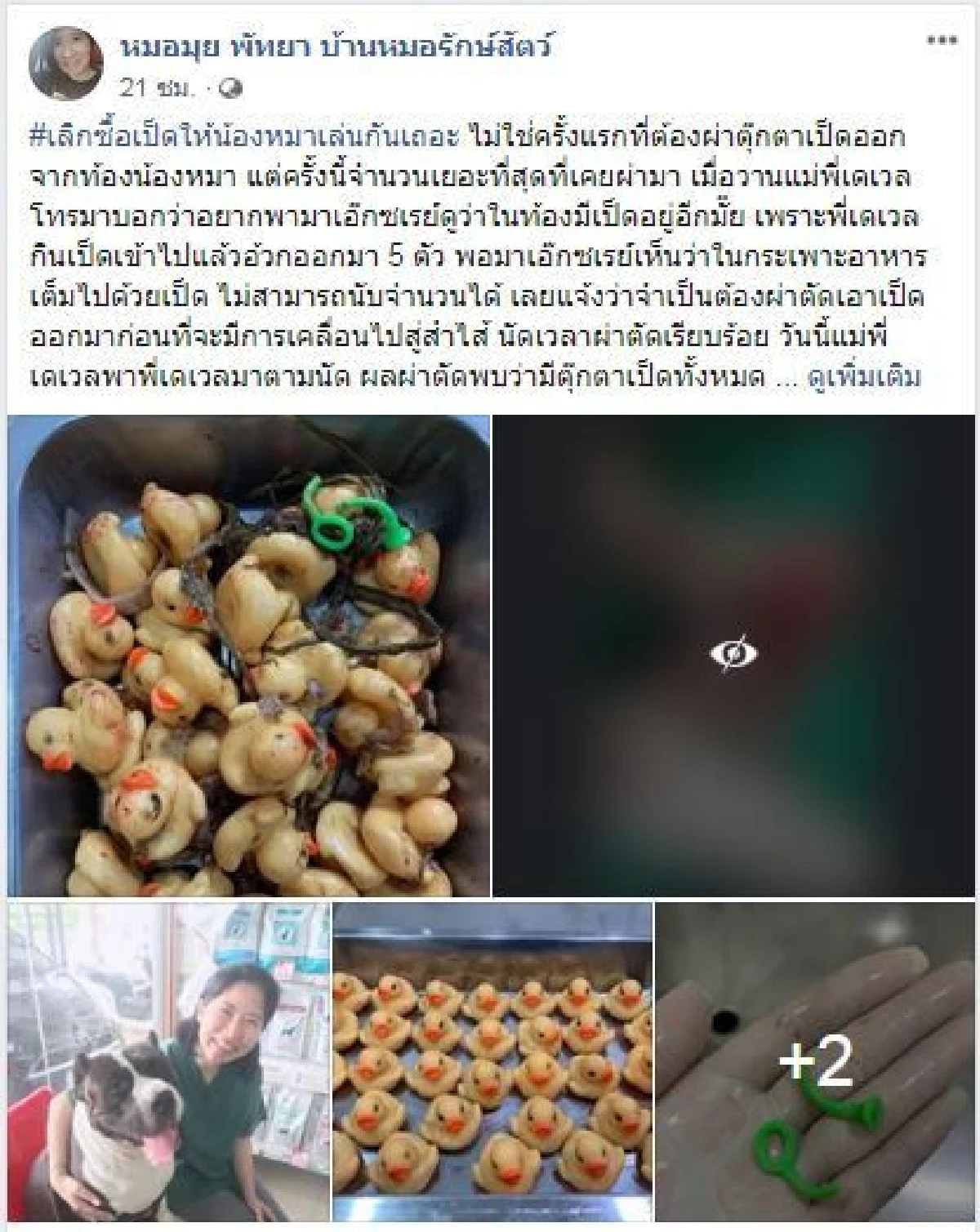 ผงะ! ผ่าตัดพุงน้องหมาเจอตุ๊กตาเป็ดอยู่ในท้อง 32 ตัว