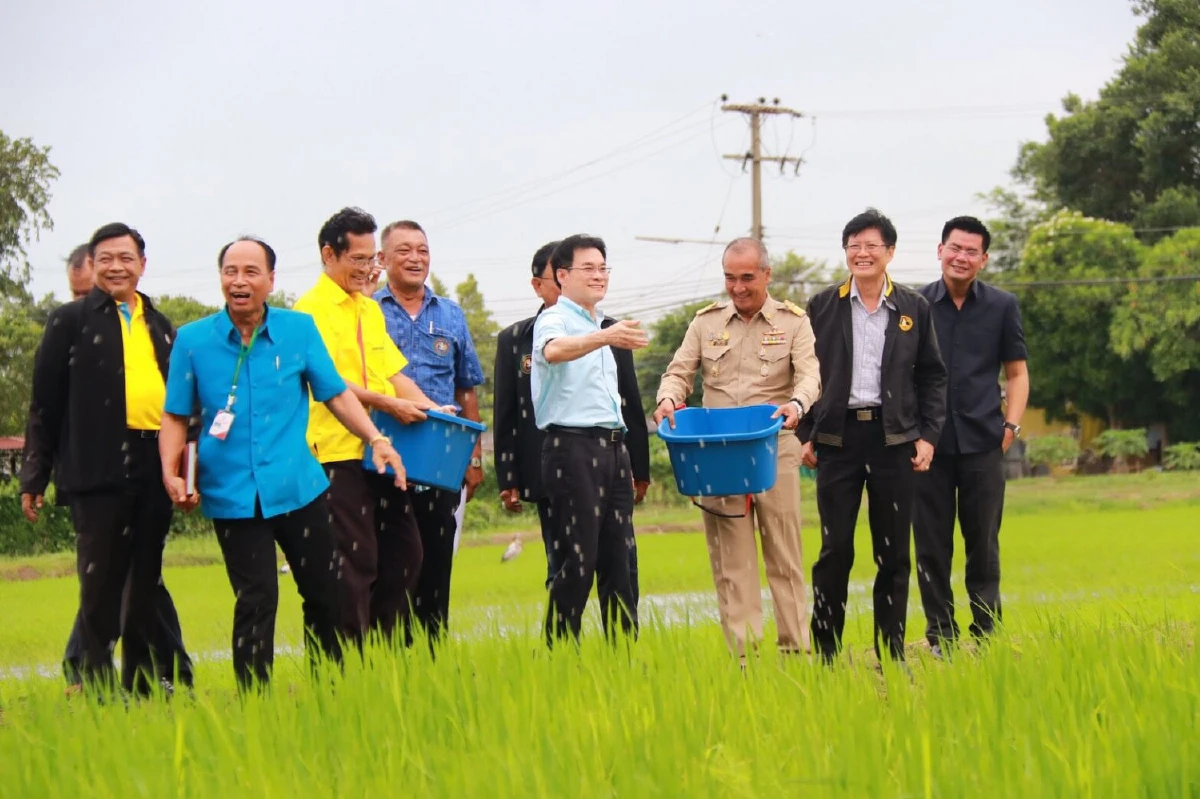 'จุรินทร์'เคาะประกันรายได้ข้าวตันละ 1หมื่นบาทครัวละไม่เกิน40ไร่