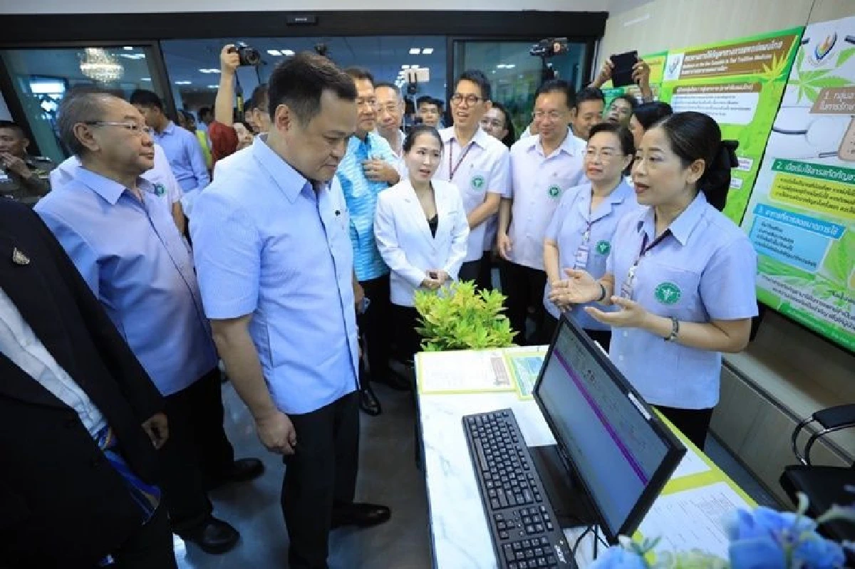 "หมอหนู" ลงพื้นที่โคราช เปิดคลินิกกัญชา รพ.มหาราช