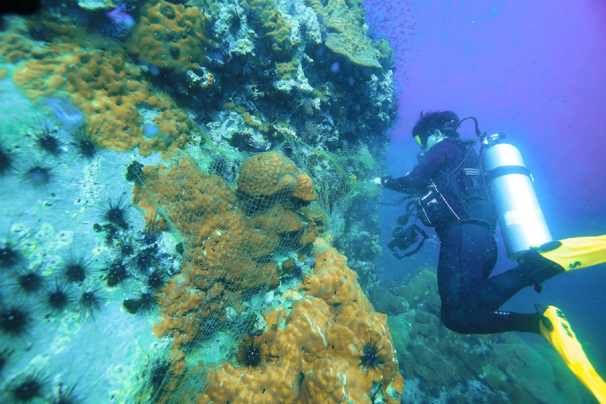 "มาเรียม" ปลุกจิตสำนึกสร้าง 3 ไอเดียเที่ยวสนุกเชิงอนุรักษ์