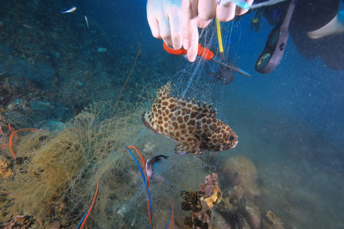 "มาเรียม" ปลุกจิตสำนึกสร้าง 3 ไอเดียเที่ยวสนุกเชิงอนุรักษ์