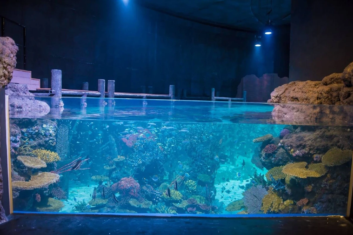 ภูเก็ตเปิดอควาเรียใหญ่ที่สุดในไทย-ร้านอาหารใต้น้ำใหญ่ที่สุดในโลก