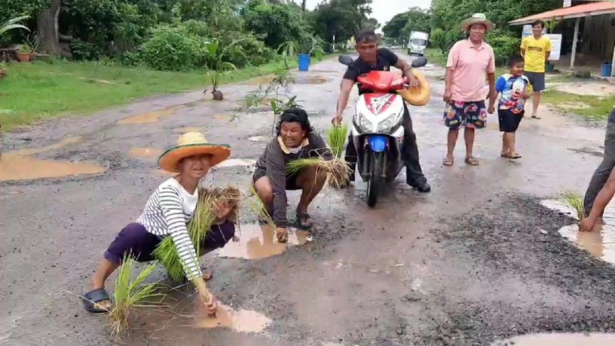 ชาวบ้านสุดทนรวมตัวหว่านแหปลูกข้าวกลางถนนประชดอบต.