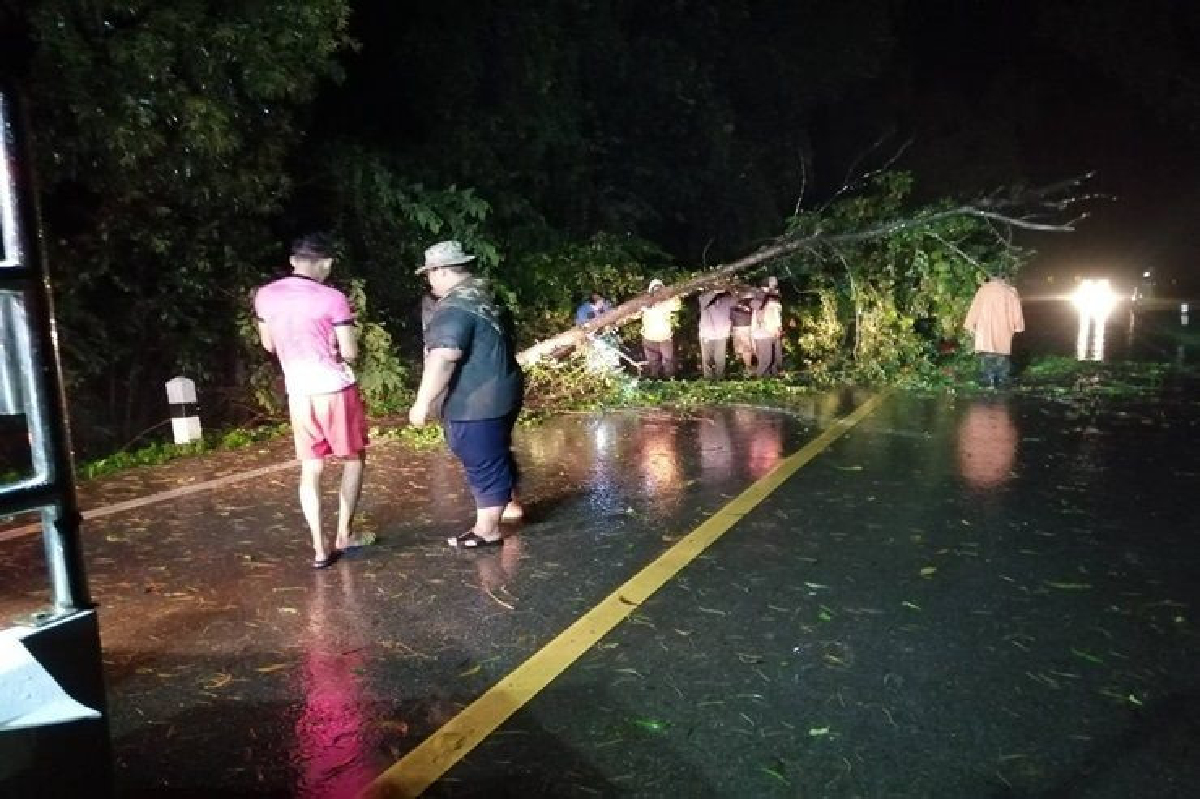 พายุโพดุลถล่ม!!นครพนมฝนตกหนัก พัดต้นไม้หักโค่น-บ้านพัง พายุโพดุลถล่ม!!นครพนมฝนตกหนัก พัดต้นไม้หักโค่น-บ้านพัง