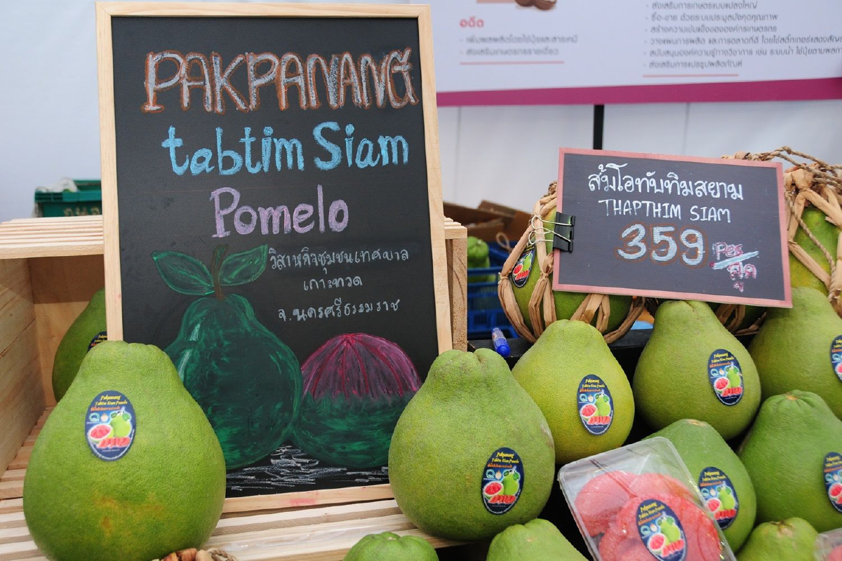ขนทัพสินค้าเกษตรเกรดพรีเมี่ยม ร่วมงานเกษตรสร้างชาติ ครั้งที่2 ขนทัพสินค้าเกษตรเกรดพรีเมี่ยม ร่วมงานเกษตรสร้างชาติ ครั้งที่2