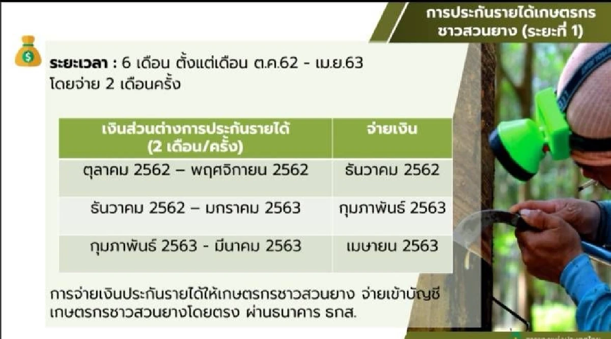 รมว.เกษตรฯชงครม.เคาะโครงการประกันรายได้ชาวสวนยางพารา