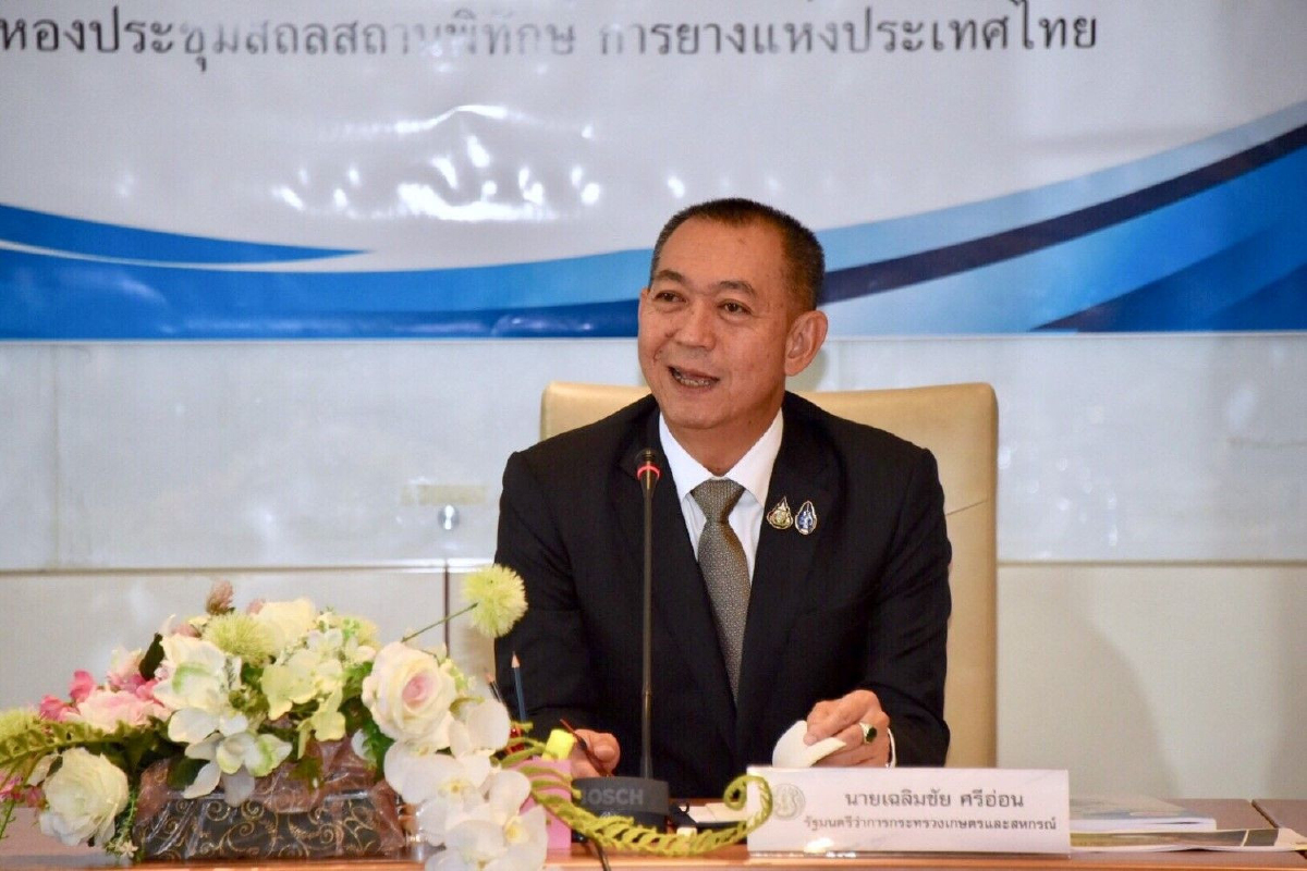 รมว.เกษตรฯชงครม.เคาะโครงการประกันรายได้ชาวสวนยางพารา รมว.เกษตรฯชงครม.เคาะโครงการประกันรายได้ชาวสวนยางพารา