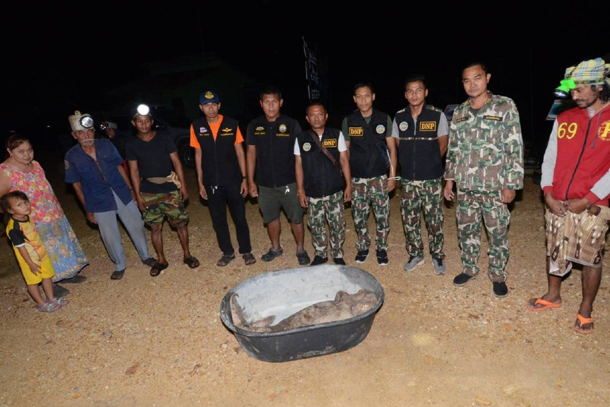 สลด! พบซากพะยูนเกยตื้นตายชายหาดทะเลตรังอีกแล้วเป็นตัวที่ 10 ในรอบปี สลด! พบซากพะยูนเกยตื้นตายชายหาดทะเลตรังอีกแล้วเป็นตัวที่ 10 ในรอบปี