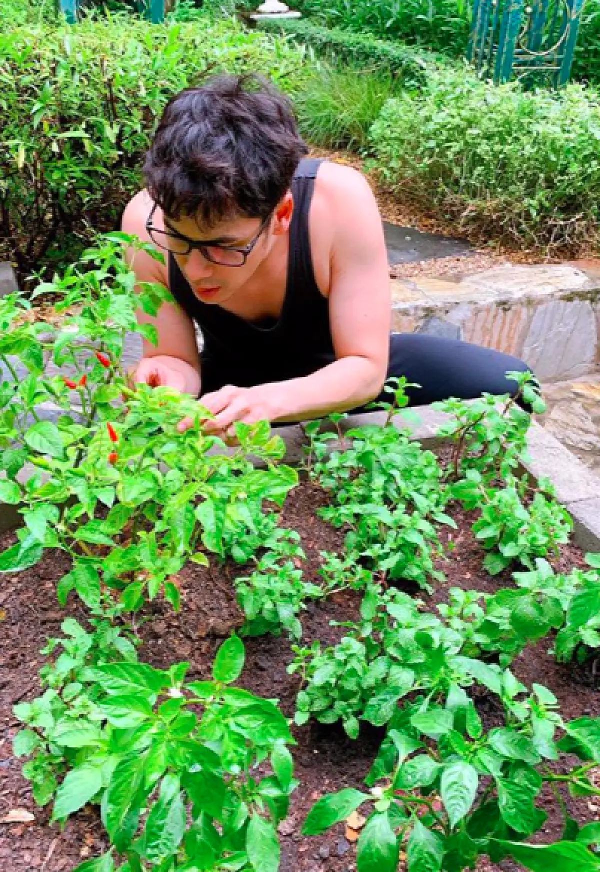 "ซี ศิวัฒน์" พาชมความงามหลังบ้านที่ได้เนรมิต มาปลูกผักสวนครัว