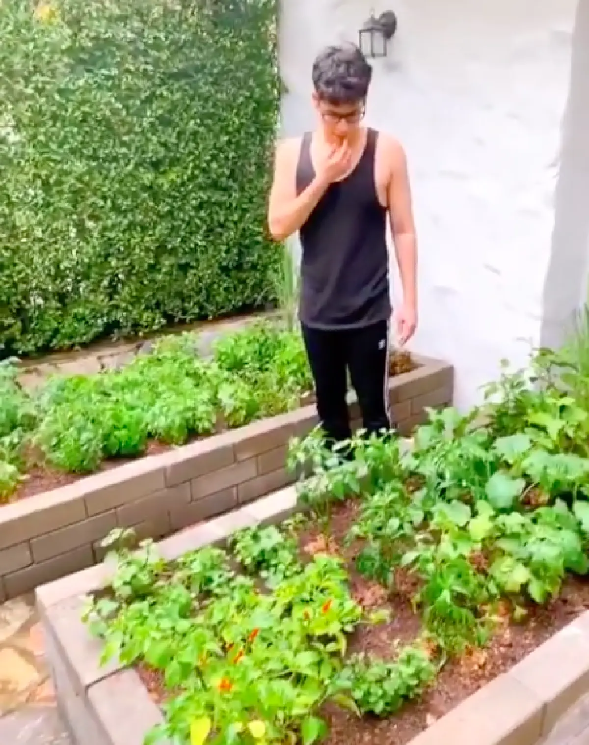 "ซี ศิวัฒน์" พาชมความงามหลังบ้านที่ได้เนรมิต มาปลูกผักสวนครัว