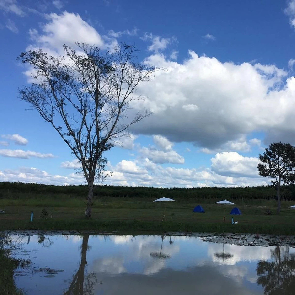 ส่องไร่วันจันทร์เพ็ญพื้นที่กว่า 200 ไร่ ของ แชมเปญ เอ็กซ์ อดีตนางแบบดัง