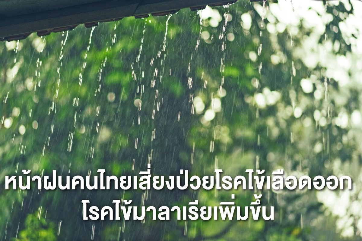 หน้าฝนคนไทยเสี่ยงป่วยโรคไข้เลือดออก-โรคไข้มาลาเรียเพิ่มขึ้น หน้าฝนคนไทยเสี่ยงป่วยโรคไข้เลือดออก-โรคไข้มาลาเรียเพิ่มขึ้น