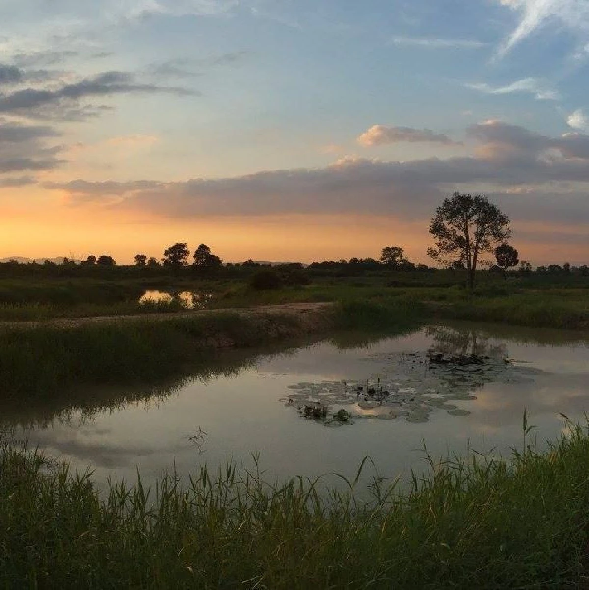 ส่องไร่วันจันทร์เพ็ญพื้นที่กว่า 200 ไร่ ของ แชมเปญ เอ็กซ์ อดีตนางแบบดัง