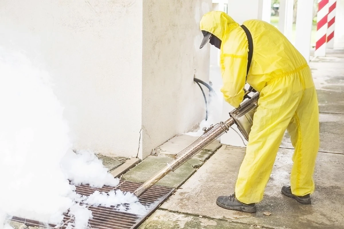 หน้าฝนคนไทยเสี่ยงป่วยโรคไข้เลือดออก-โรคไข้มาลาเรียเพิ่มขึ้น