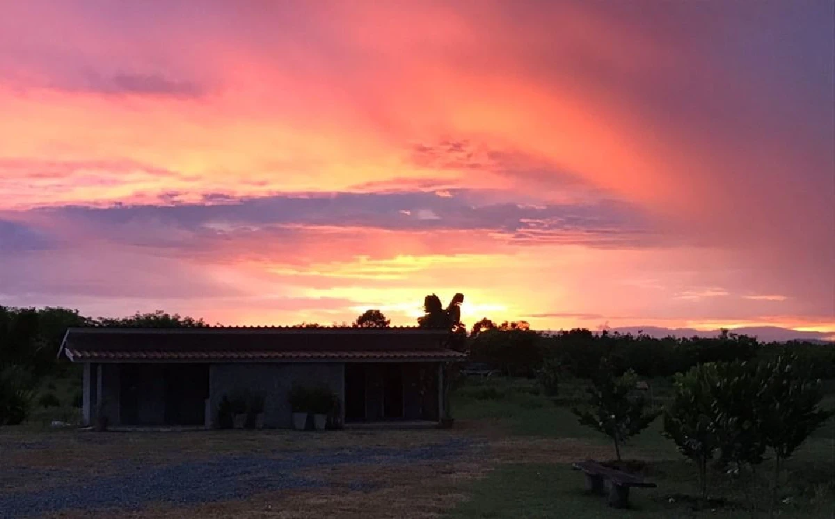 ส่องไร่วันจันทร์เพ็ญพื้นที่กว่า 200 ไร่ ของ แชมเปญ เอ็กซ์ อดีตนางแบบดัง