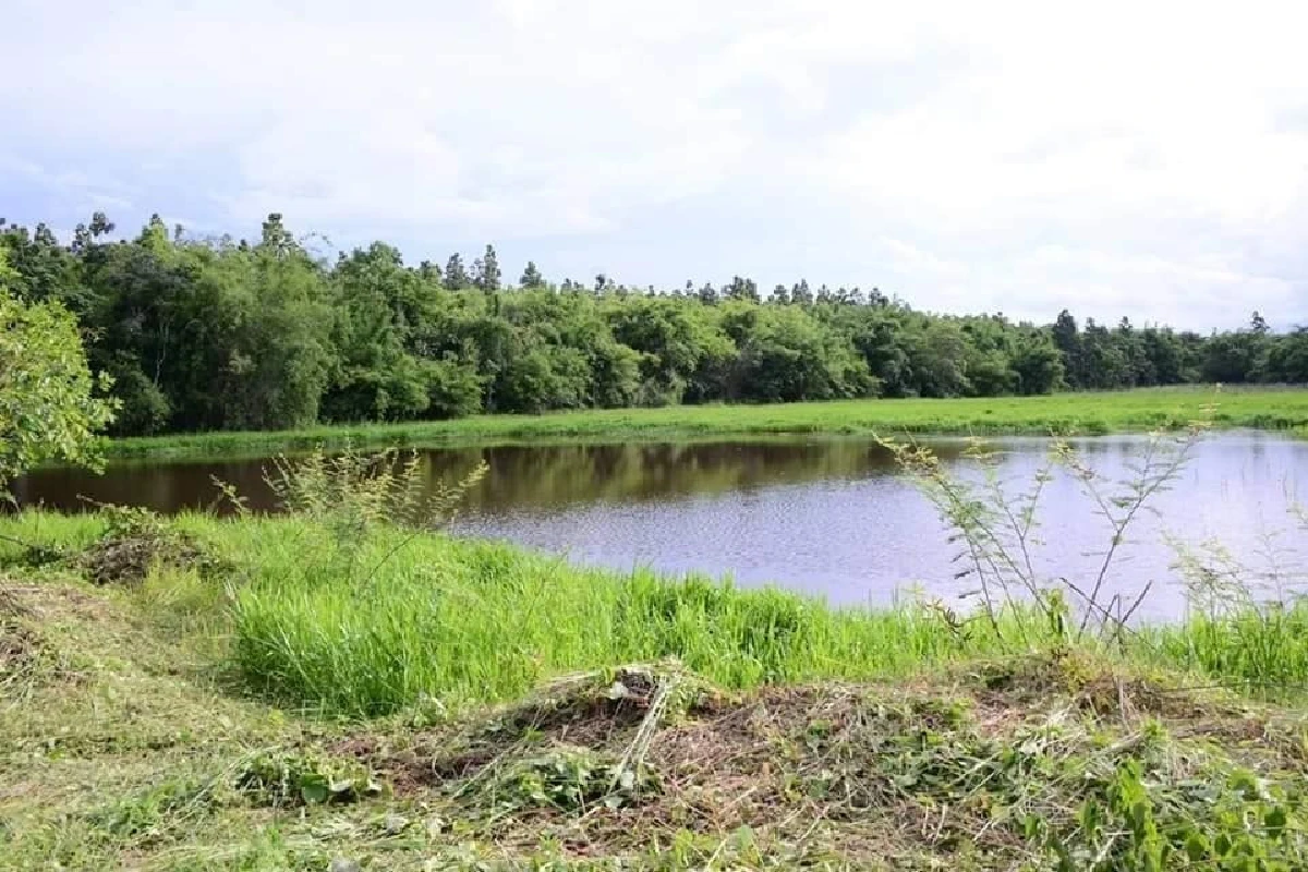 'มนัญญา' เดินหน้านโยบายกัญชาเสรีฯ