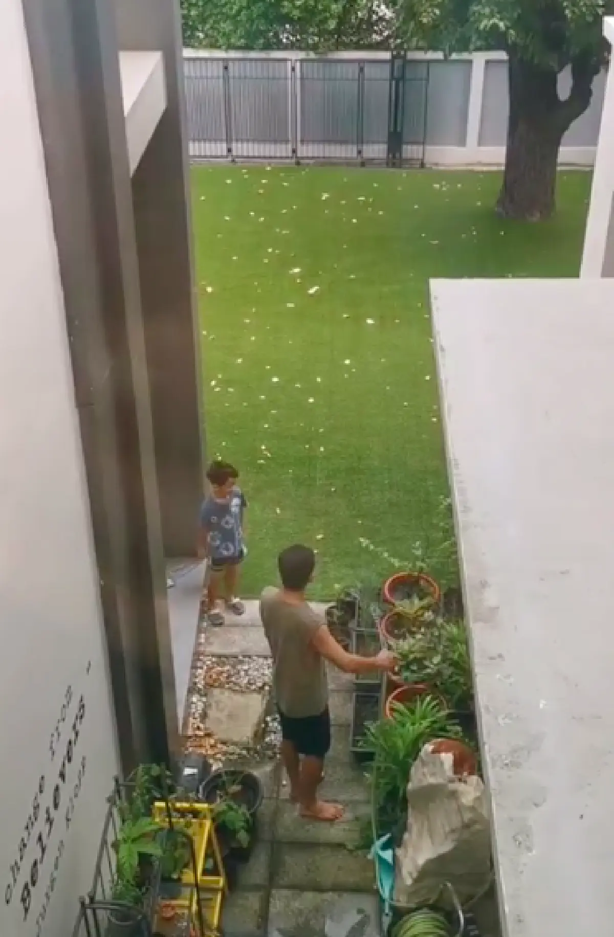 เกษตรกรตัวน้อย! "น้องภูดิศ” ลูกชาย "ป๋อ ณัฐวุฒิ" โชว์ฝีมือปลูกผักสวนครัวที่หลังบ้าน