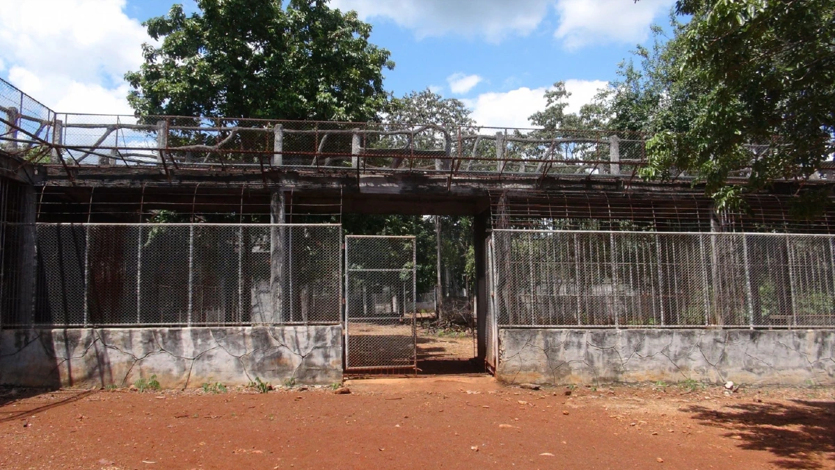 หลวงพ่อวัดเสือเมืองกาญจน์สมเพชเสือของกลางที่ถูกยึดไปตายกว่า 80 ตัว